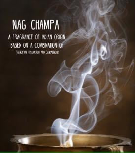 Wax Melts Tarts 2.5oz SUPER STRONG 30 pc Mini Cubes Handmade SPRING/SUMMER Scents